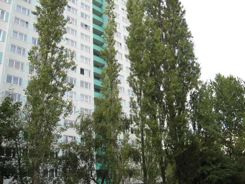 Wohnung sucht neuen Mieter! Einkommensgrenzen bitte beachten! — photo 1